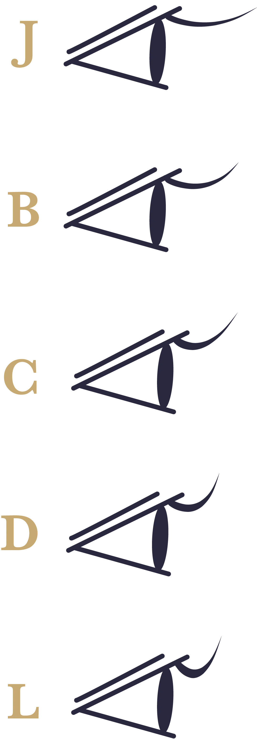 illustration courbure