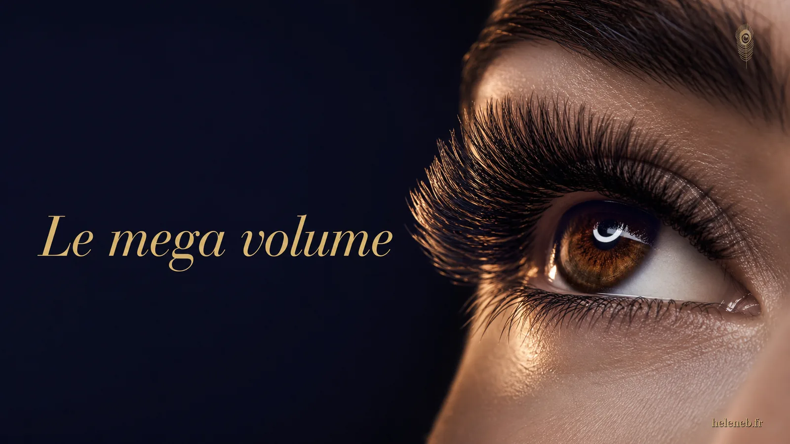 Le méga volume