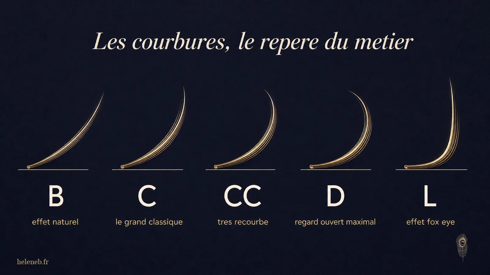 Les courbures B C CC D L