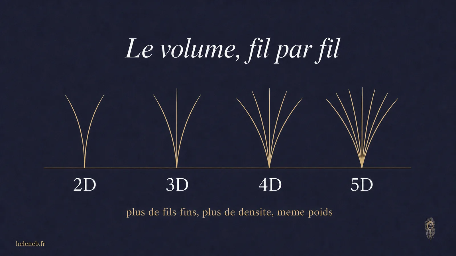 Schema dei ventagli di volume russo 2D, 3D e 4D applicati su una ciglia naturale
